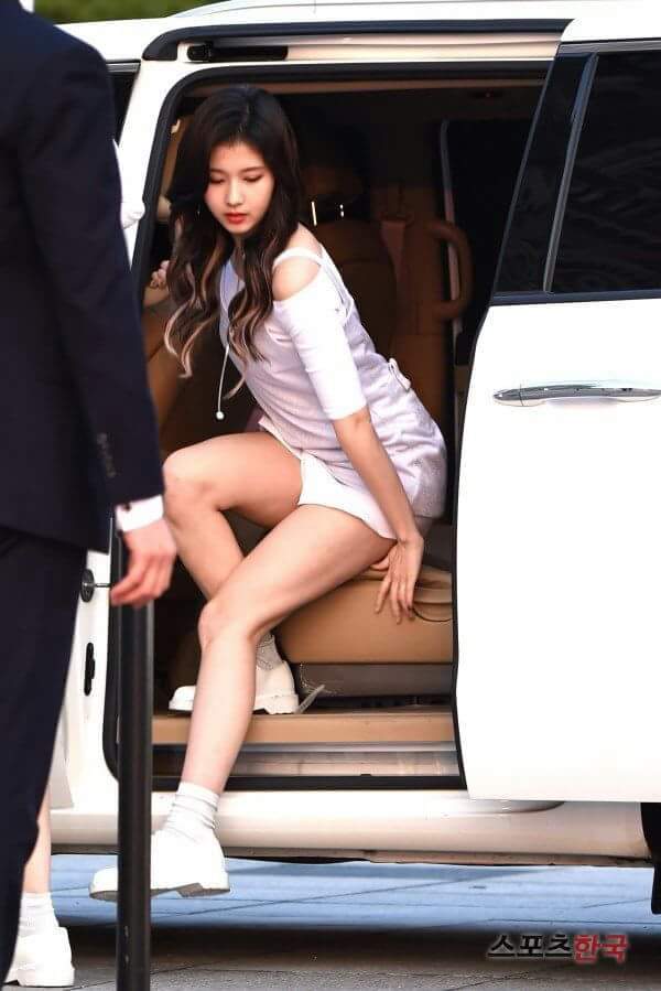 사나 시나 | 인스티즈