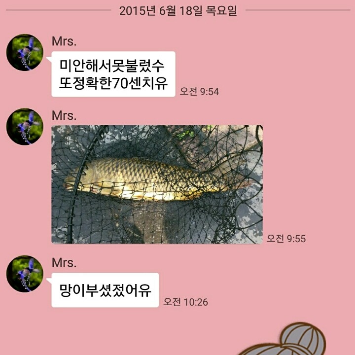 선파워 이미지
