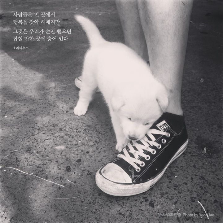 누가 먼저 말해주면 좋겠다 거짓말이라도 좋으니까 넌 참 잘하고 있다고 | 인스티즈
