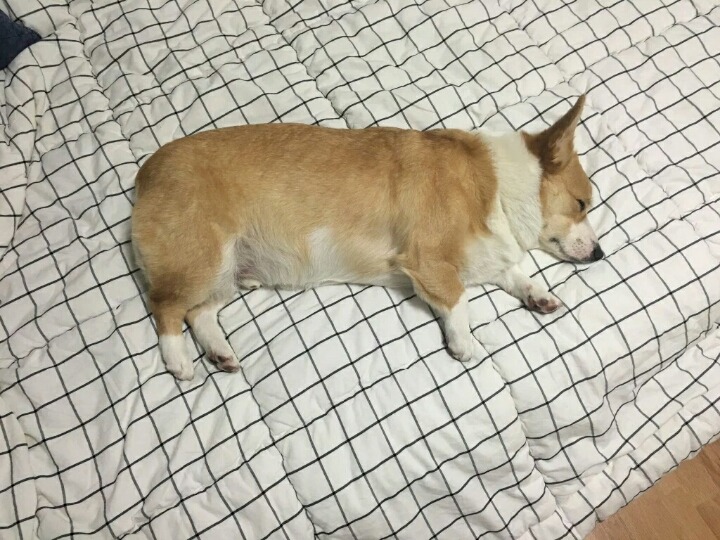 추천 개 | 인스티즈
