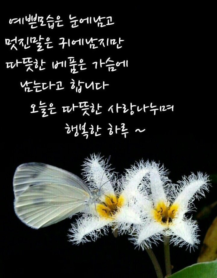 즐거운 이미지