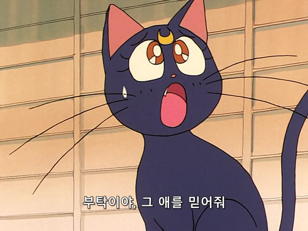 미소녀 전사 세일러문 (美少女戦士セーラームーン) 26 | 인스티즈