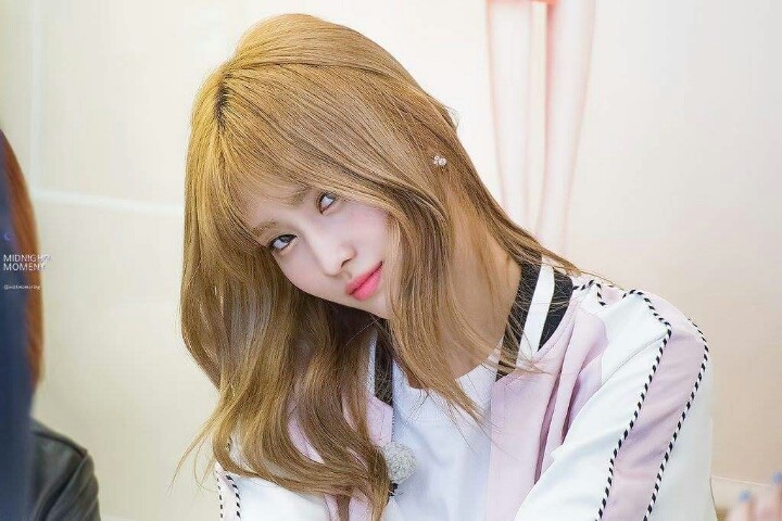 트와이스 샤샤샤 족발매니아 | 인스티즈