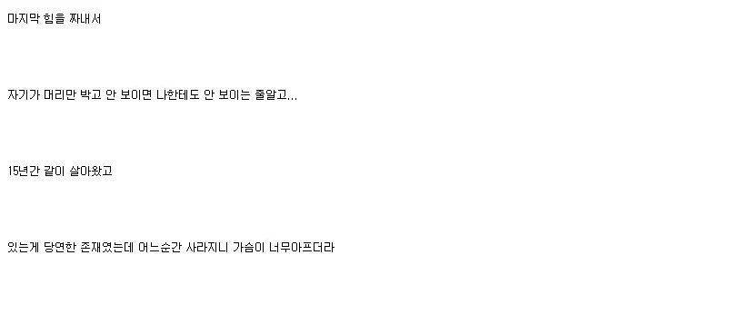 개가 늙어죽을때 어떻게 죽는지아나? | 인스티즈