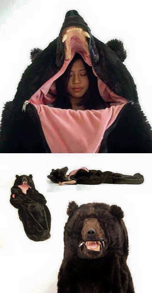 곰이다 | 인스티즈