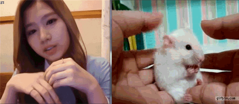 트와이스 놀랐사나 | 인스티즈