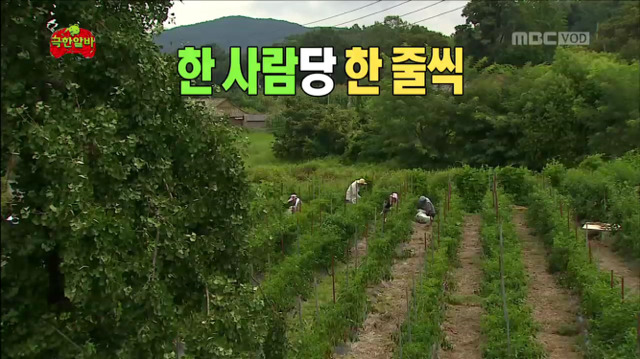 [무한도전] 자식 자랑하는 팔불출 명수옹ㅋㅋㅋㅋㅋㅋㅋㅋㅋ | 인스티즈