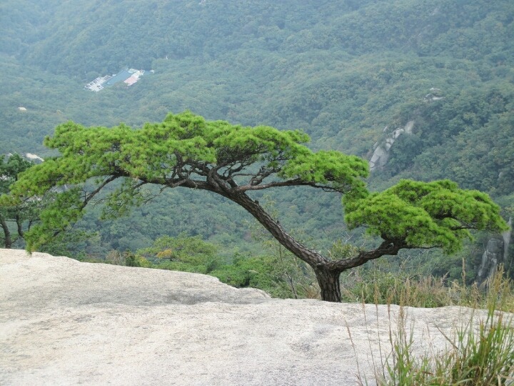 북한산의 만경대.백운대.인수봉 이미지