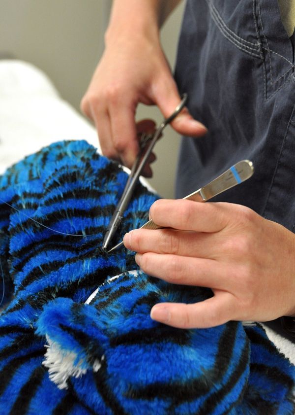 어느 미국 동물 병원의 동물 인형 무료 수술 서비스 | 인스티즈