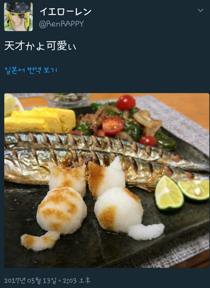 꽁치구이를 노리는 아기고양이들 | 인스티즈