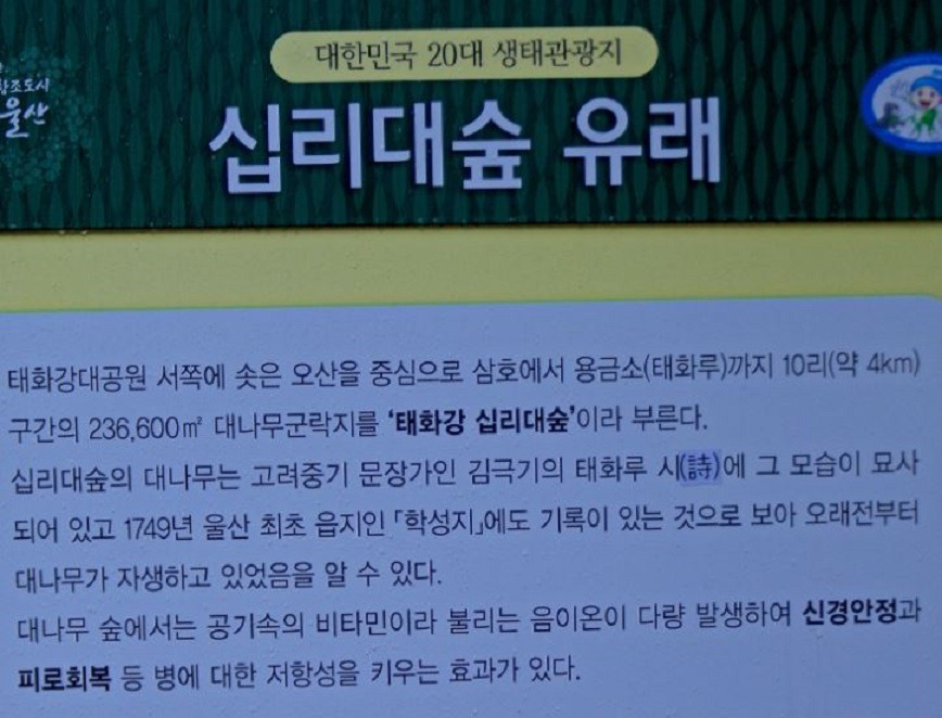 해파랑길 7코스 이미지
