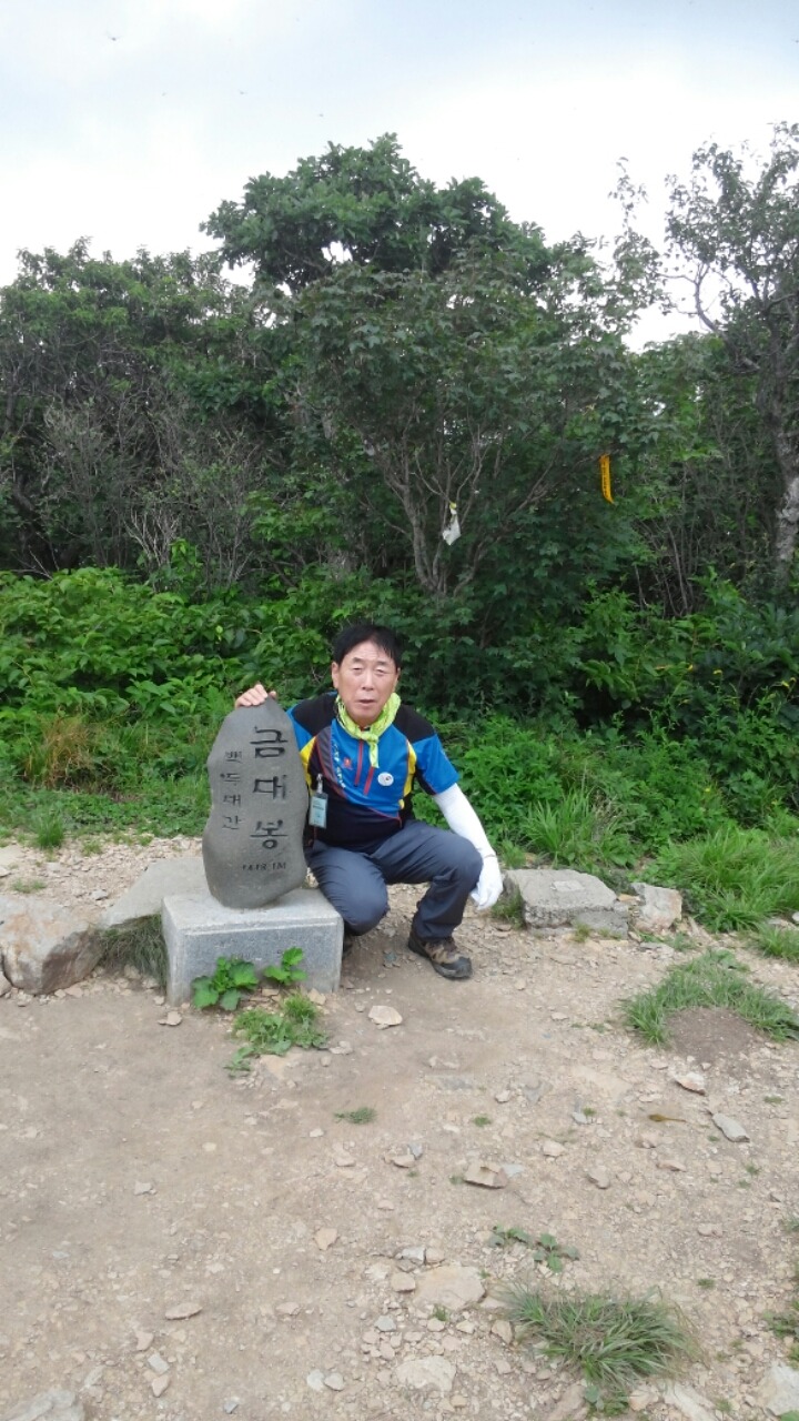 백두투어 이미지