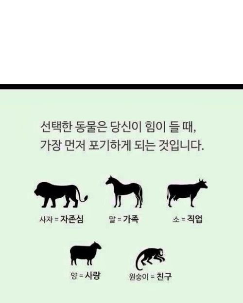 자신의 성향 심리테스트 | 인스티즈
