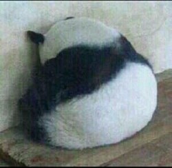 꼬르륵 이미지