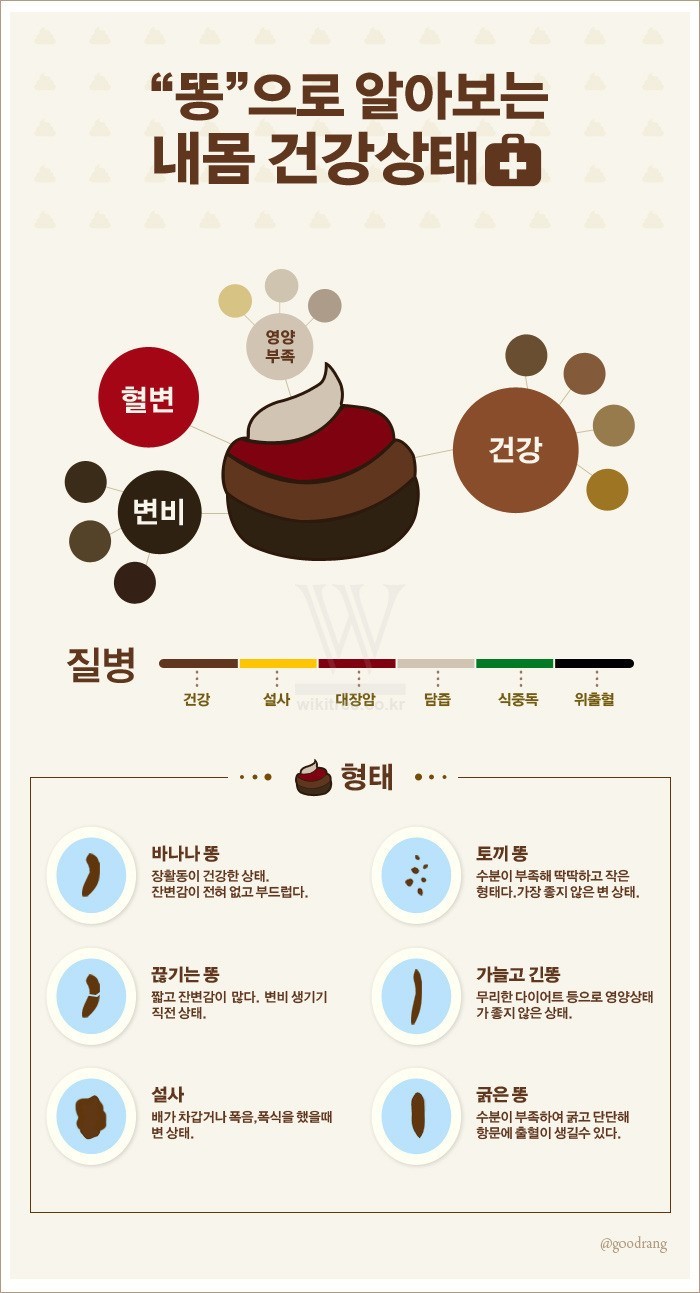 똥으로 알아보는 내 건강상태 | 인스티즈