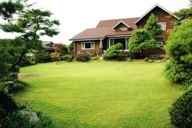 마당 이미지