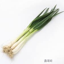 채소와 과일로 대화하는 한국어 | 인스티즈