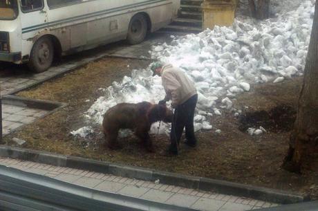 불곰국의 반려동물.jpgif | 인스티즈