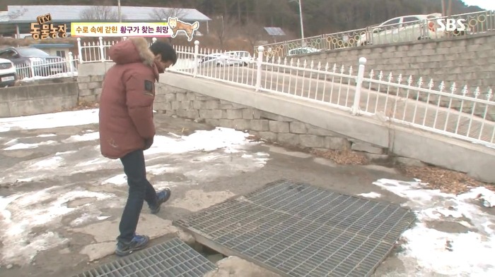 [동물농장] 수로 속에 갇힌 황구가 찾는 희망.JPG (감동주의) | 인스티즈