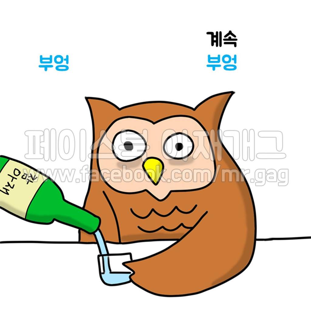 새들이 술 마실 때 | 인스티즈