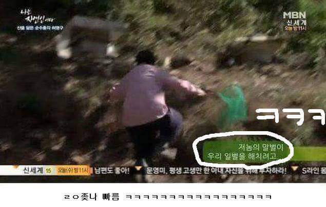나는 자연인이다 레전드 | 인스티즈