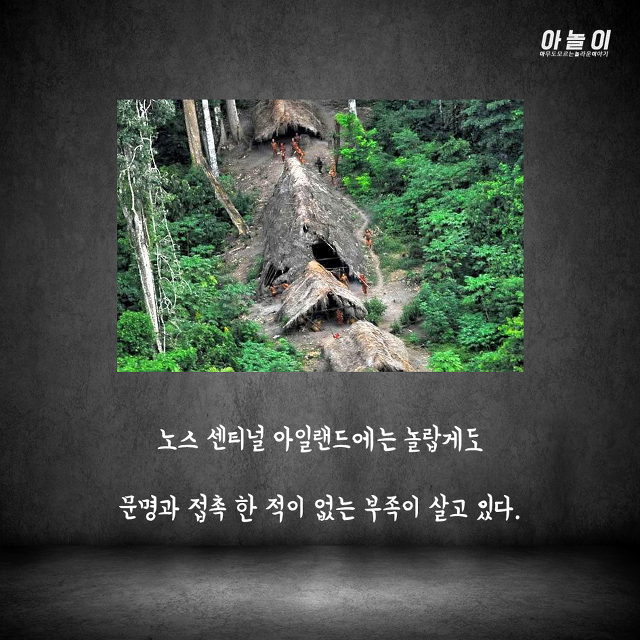 들어가면 바로 살해당하는 섬...ㄷㄷ | 인스티즈