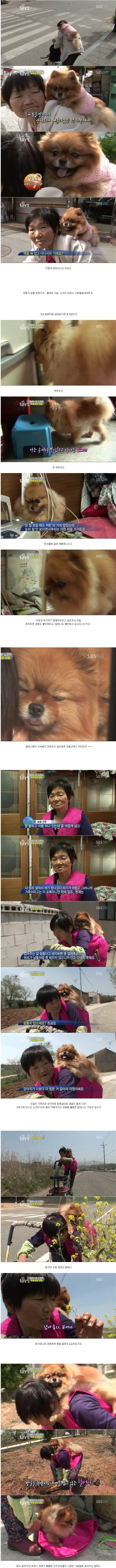 할머니와 노견.jpg | 인스티즈