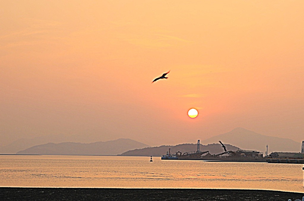 정서진 이미지
