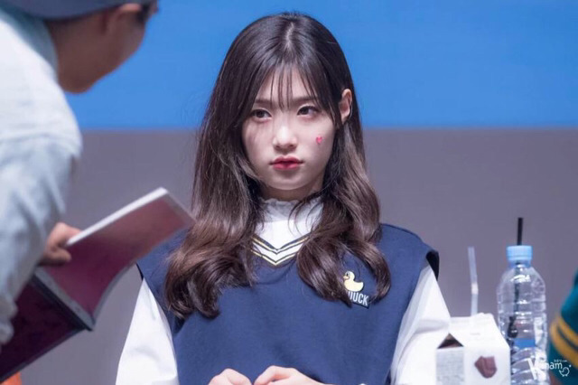 오늘도 댕한 댕챙 | 인스티즈