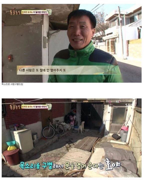 동물농장에 나온 역대급 천재 개ㄷㄷ | 인스티즈