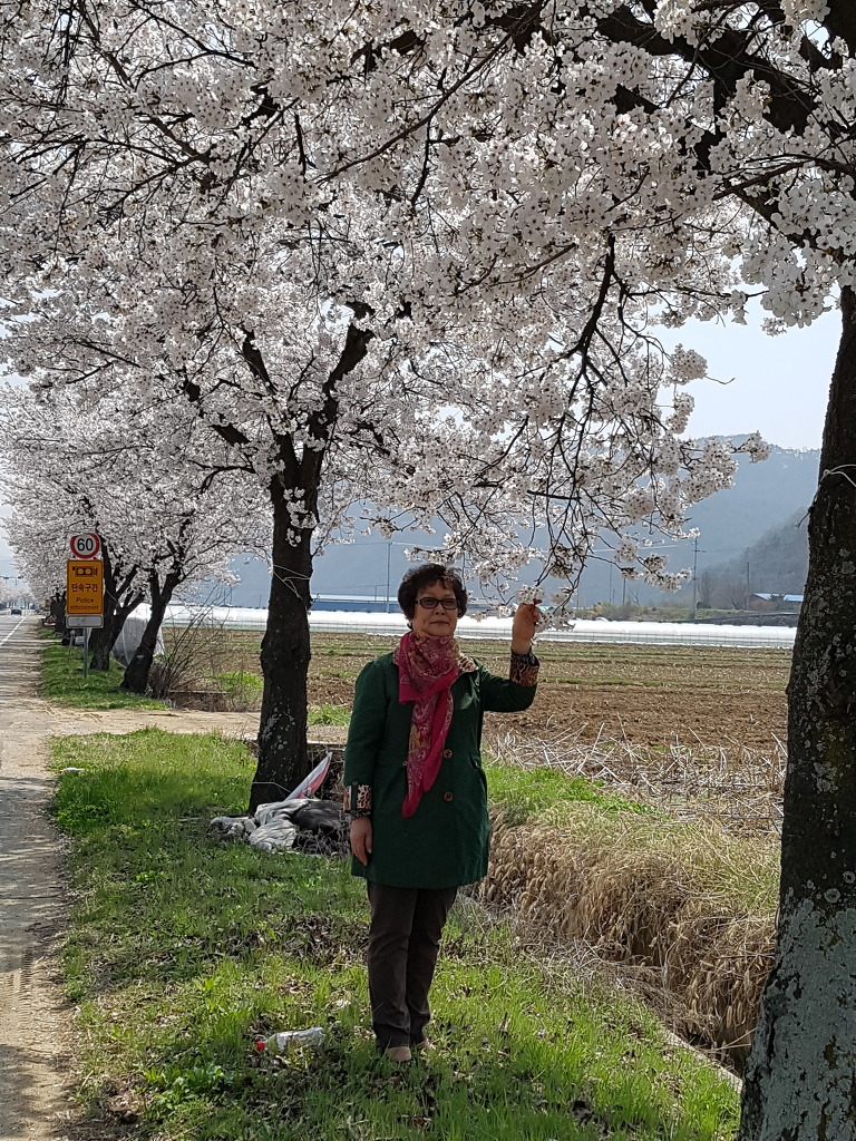 고바우식당 이미지