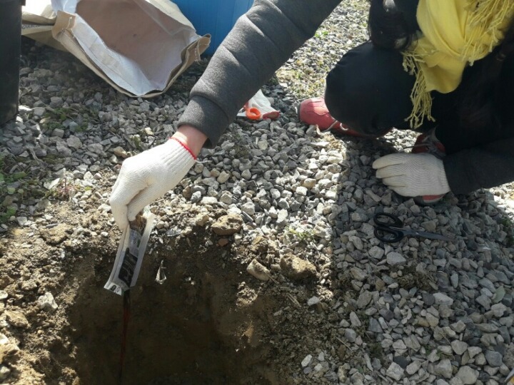 2월19일 일요일. 개소주가 되어버린 나의 가족 매실이를 예쁜매실나무로 만들어 보내주었습니다 | 인스티즈