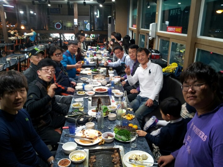 부산갈메기 이미지