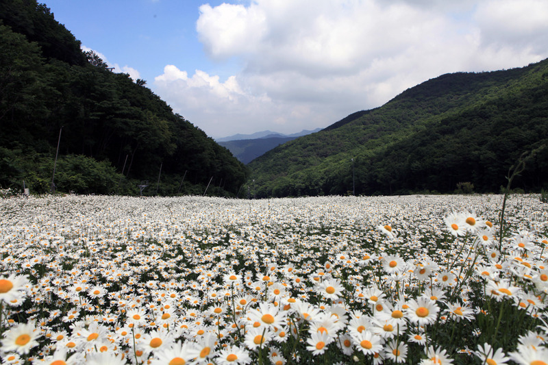 리산애 감성여행 이미지