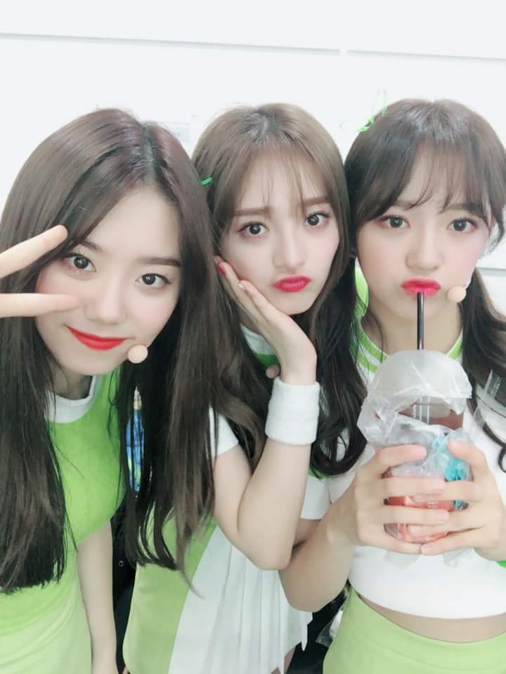 아이오아이 이쁘다 | 인스티즈