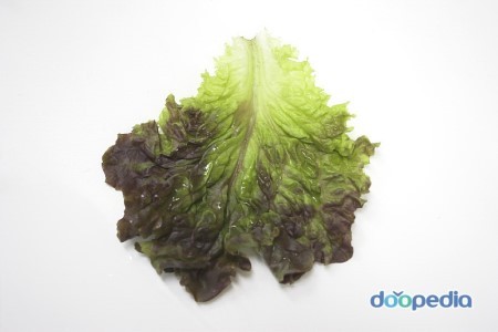 고기 쌈싸먹을때 이해안가는것.jpg | 인스티즈