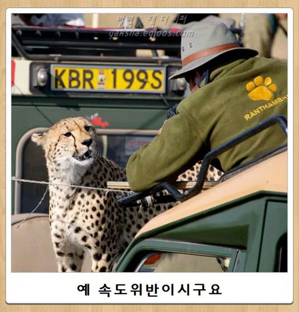 2016바보년 첫 아재개그 갑니다!!! | 인스티즈