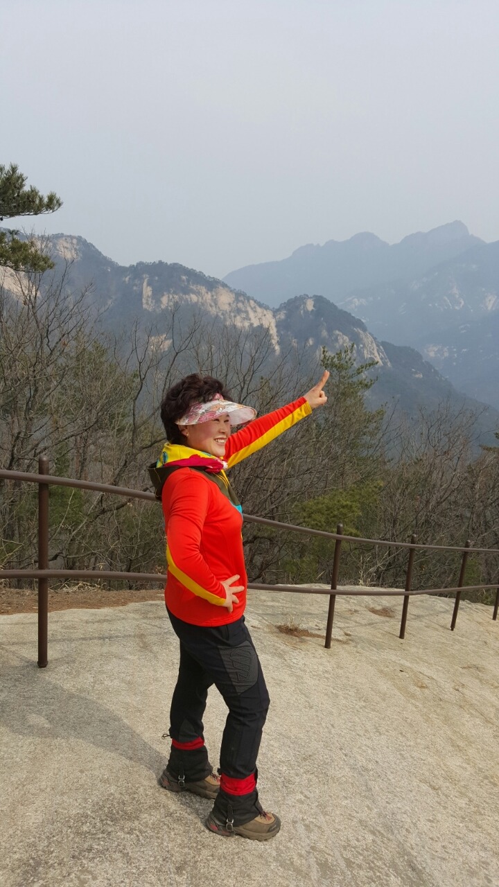 옷잎 이미지