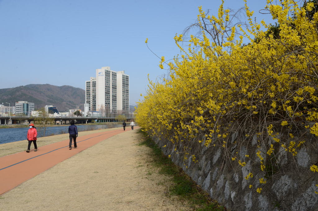 개나리민박 이미지