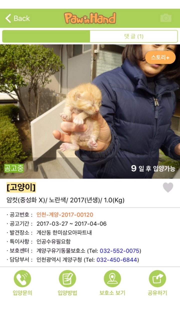 아기길냥이 구조를 함부로 하면 안되는 이유 | 인스티즈
