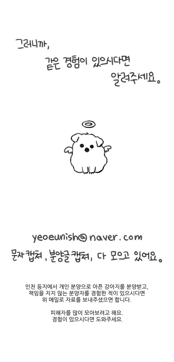 반려견 분양 사기 - 대새녀 작가 여은님이 제보 받는중 | 인스티즈