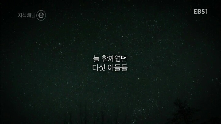지식채널e - 아들들.jpg | 인스티즈
