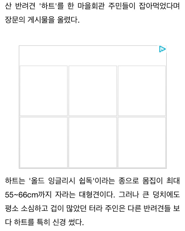 반려견 찾는 주인 속이고 불태워 개고기로 먹은 주민들 | 인스티즈