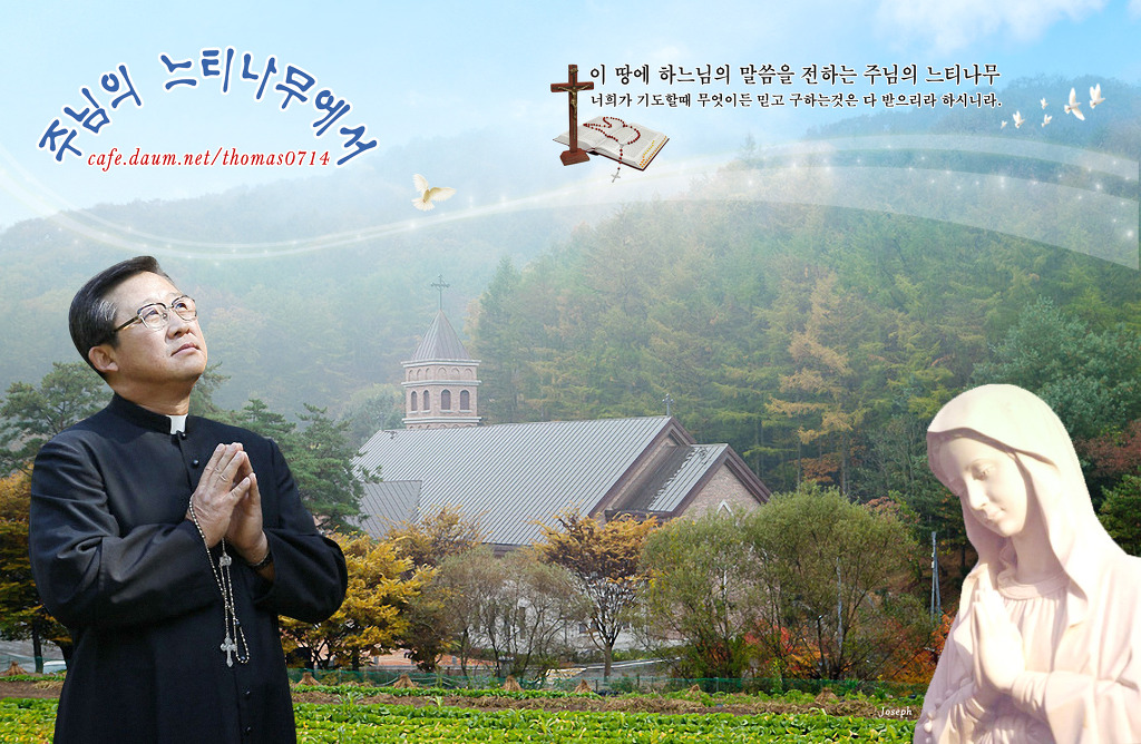 느티나무cafe 이미지