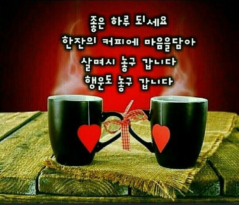 하임 이미지