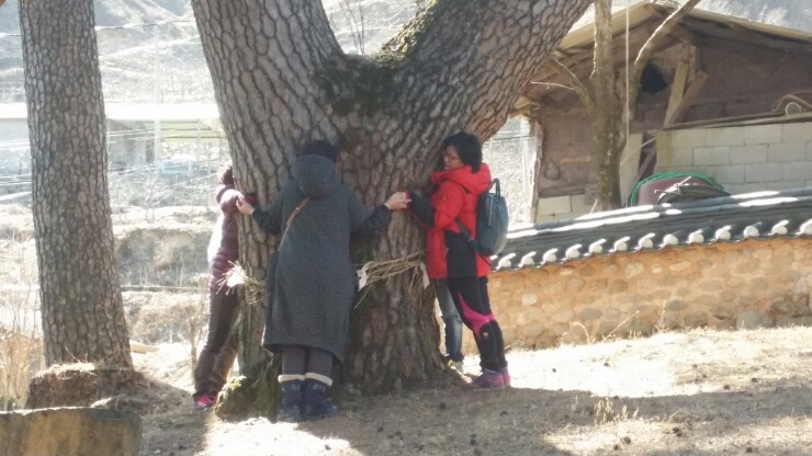 솔향기환경 이미지