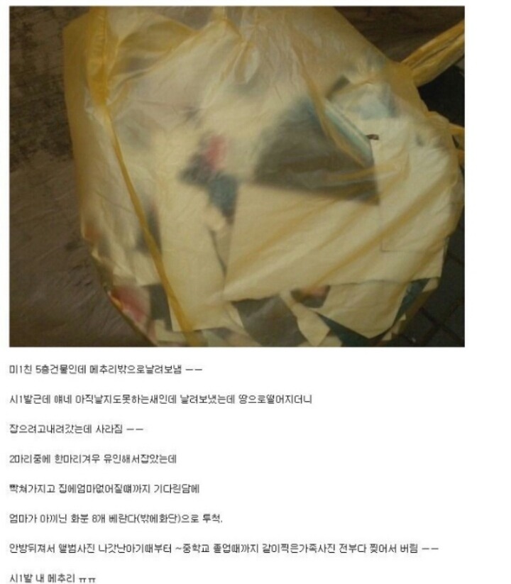 아들의 행동이 이해된다vs안된다(탄식주의) | 인스티즈