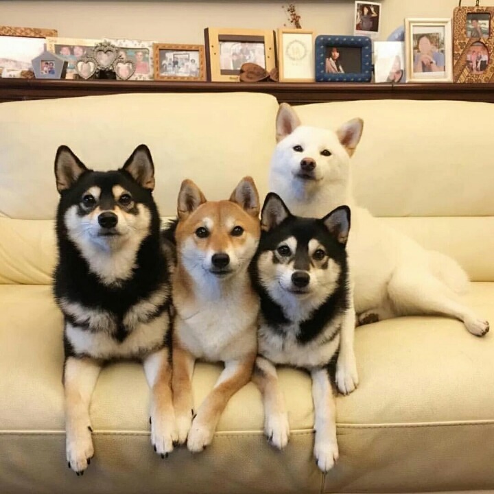 인간관계에서 실망은 피할 수 없는 일이다.twt | 인스티즈