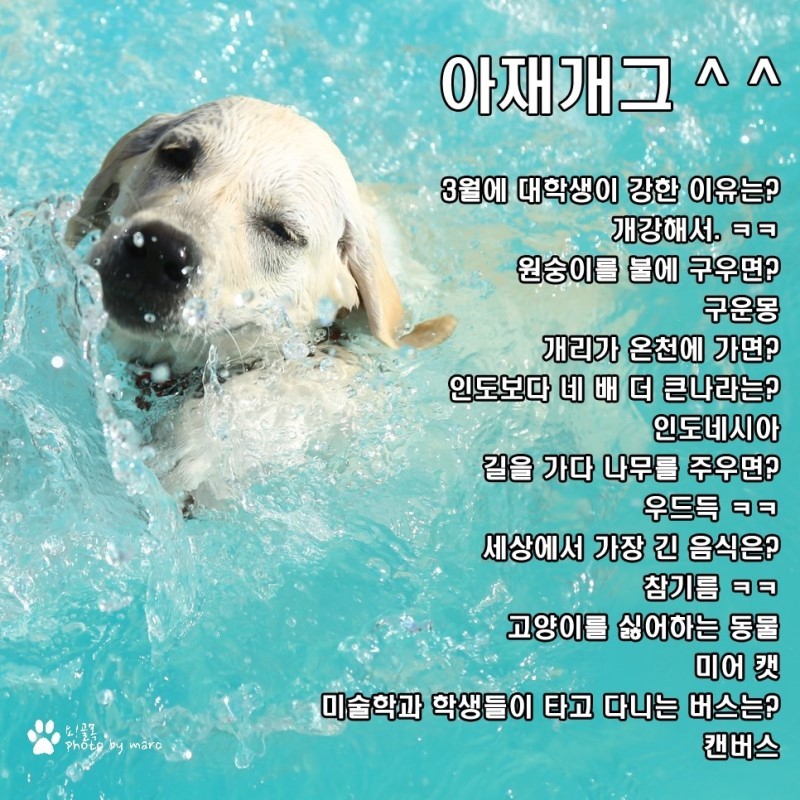 안웃기면 지상렬 | 인스티즈