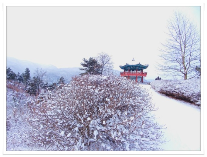 몸편안세상 이미지